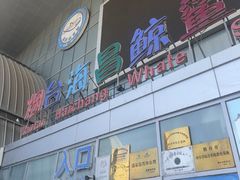 -烟台海昌鲸鲨海洋公园