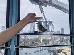 -合肥融创乐园