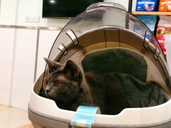 -佳雯宠物医院(四明中路分院)