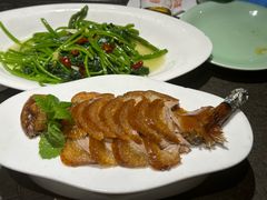 -北平盛世·新京菜·北京烤鸭(劲松·双井店)