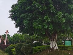 -飞来湖湿地公园