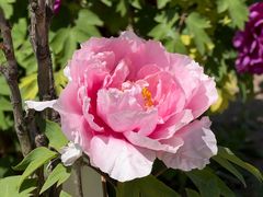 -迎泽公园