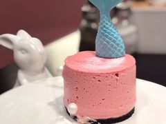 美人鱼芝士-随心小姐