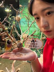 -Zoolung Zoolung动物主题公园(海信广场店)