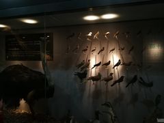 -烟台自然博物馆