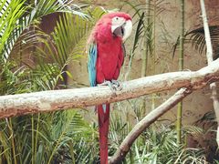 -杭州开元森泊度假乐园