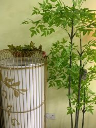 -变美丽半永久纹眉连锁·机器野生眉•洗眉