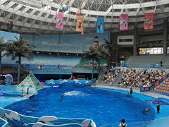 -海合安成都极地海洋公园