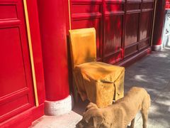 -芦芽山旅游度假区