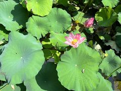 -乌石村
