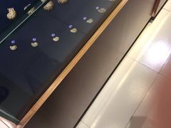 -青岛贝壳博物馆