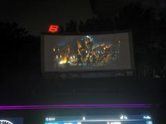 -枫花园汽车电影院(朝阳公园店)
