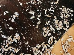 -植物园哈利亚餐厅