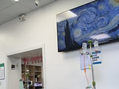-中国农业大学动物医院
