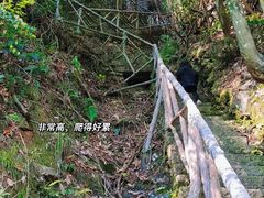 -石门洞景区