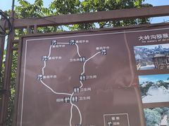 -大岭沟猕猴桃谷风景区