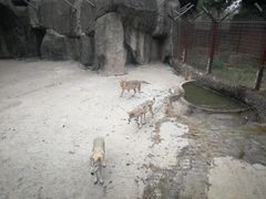 -南昌动物园