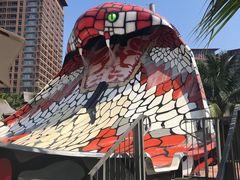 -亚马逊丛林水乐园