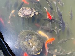 -宁波市保国寺古建筑博物馆