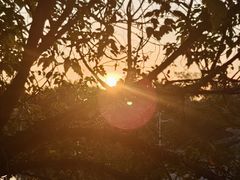 -徐悲鸿故居