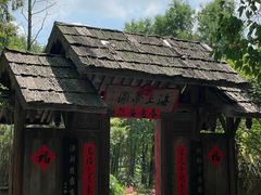 -东平国家森林公园