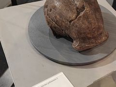 -北京周口店北京人遗址博物馆