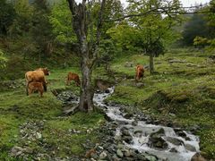 -硗碛藏寨·神木垒景区