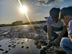 -南汇嘴观海公园