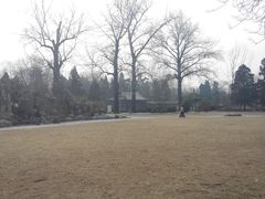 -近春园遗址