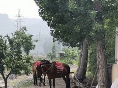 -野三坡清泉山风景区