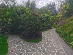 -腾冲洞山温泉村