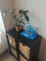 -栖SPA·ONDA ·海菲秀·皑皑科技美肤中心