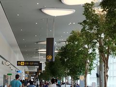 -樟宜机场T4航站楼