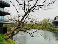 -木守西溪溪隐餐厅