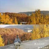 攻略| 打卡武汉大学不能错过什么？