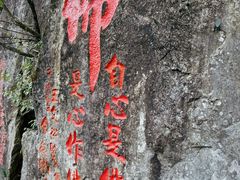 -东天目山风景区