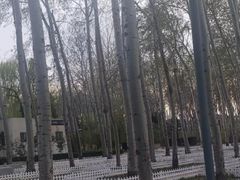 -仁和公园(顺义区)