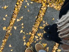 -宁波市保国寺古建筑博物馆