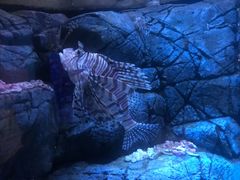 -成都浩海立方海洋公园