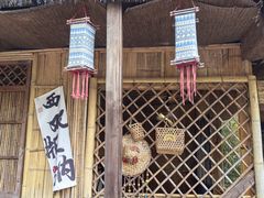 -西双版纳原始森林公园