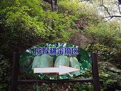 -大岭沟猕猴桃谷风景区