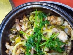 生焗鲶鱼-红炎炎农家菜老字号(金水台店)