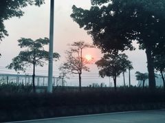 -柴火农庄(东海路店)