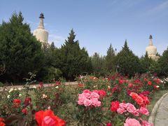 -凉州白塔寺景区