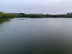 -大兴滨河森林公园