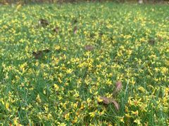 -南阳建业森林半岛假日酒店