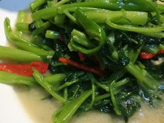-三猫黑鱼花(南大店)