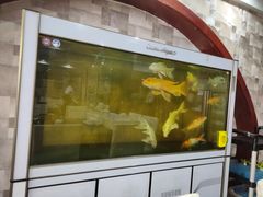门面-马家烧麦(总店)