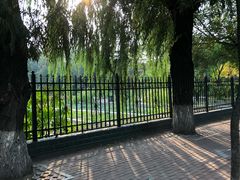 -黑龙江中医药大学