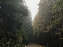 -山王坪喀斯特国家生态公园